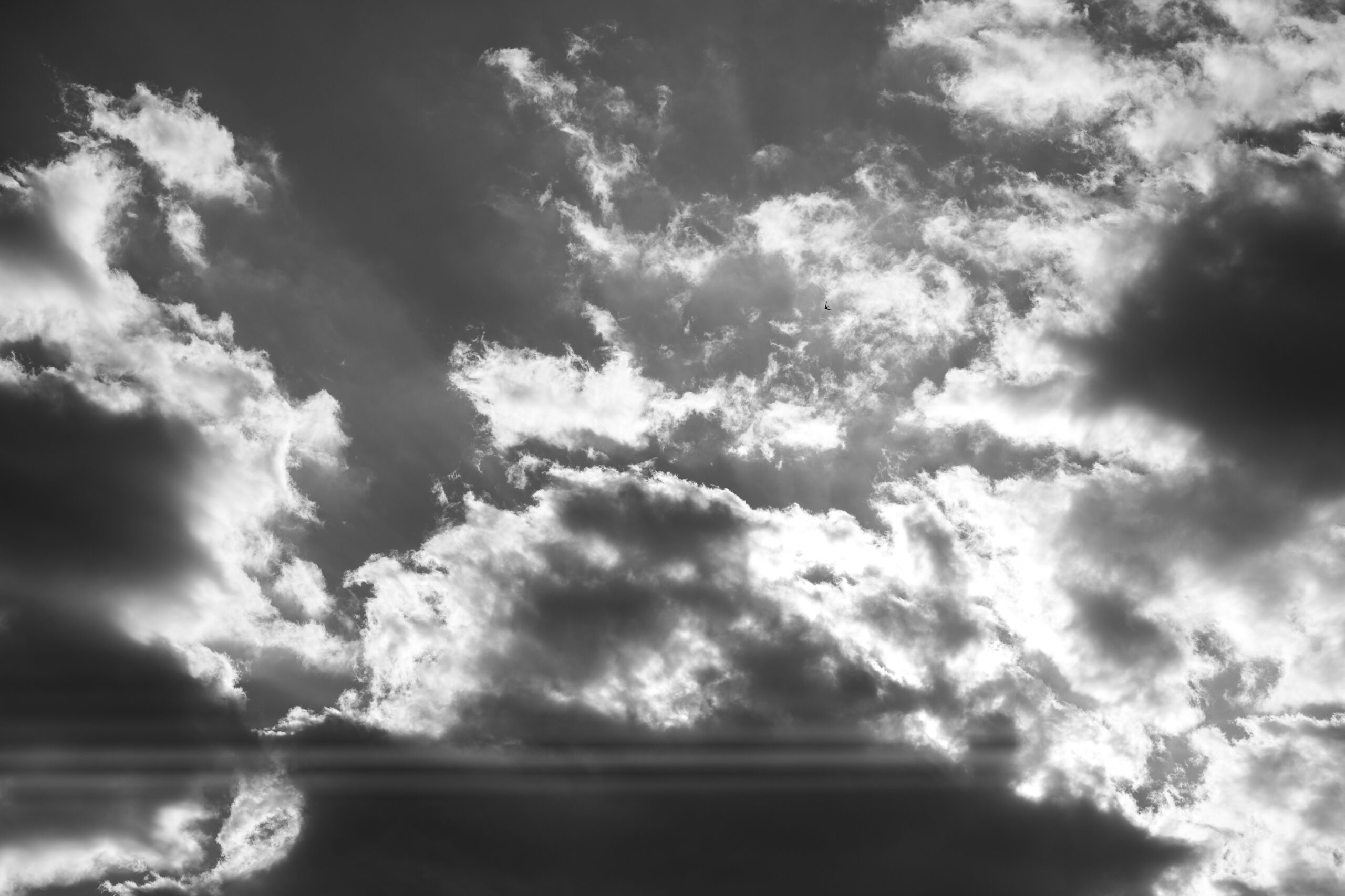 DSC07761